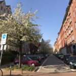 Abendspaziergang_Kiel_Sternstraße_bluehende_Baeume