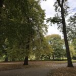 Herbstlicher Park