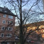 Sonne. Lange nicht gesehen.