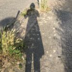 Abendspaziergangsschatten