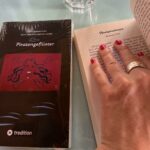 Meine Piratinnen-Krimi-Kurzgeschichte "Fördepiratinnen"
