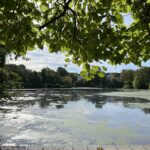 Mit Blick auf den Schreventeich …