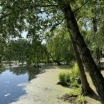 Schrevenparkrunde.