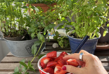 Frühstück auf dem Balkon