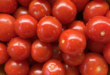 Aus den frischen Tomaten 