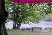 Im Park unter der Linde einen Blogbeitrag über Paris ins Handy tippen