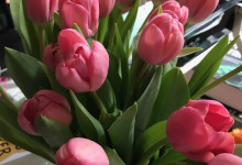 Schreibtischtulpen