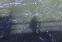 Susannes_Schatten_auf_dem_Foerdewasser
