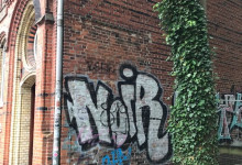 Noirig ists auf dem Weg zum Mittagessen.