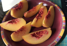 Mit einem Snack weiter an der Kurzgeschichte schreiben