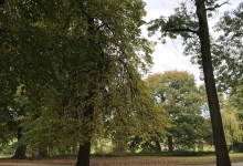 Herbstlicher Park