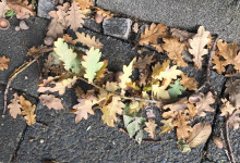 12_von_12_Oktober2020_2