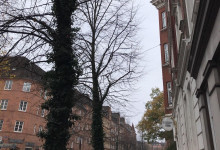 Runde um den Block