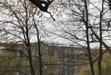 Die Häuser spiegeln sich im Schreventeich.