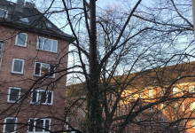 Sonne. Lange nicht gesehen.