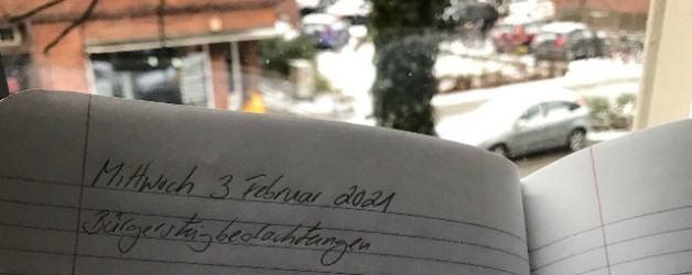 Aus meinem Notizbuch oder Bürgersteigbeobachtungen im Februar 2021