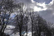 Spaziergangsblick