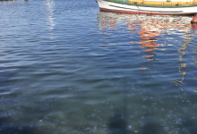 Autorinnenschatten auf Quallenfördewasser