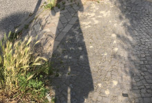 Abendspaziergangsschatten