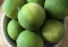 Limettenvorrat