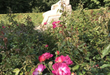 Lieblingsplatz im Schrevenpark