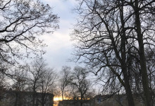 Schrevenparkrunde