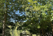 Schrevenparkrunde