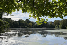 Mit Blick auf den Schreventeich …