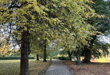 Schrevenparkliebe