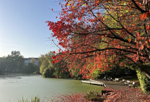 noch mehr Schrevenparkliebe