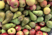 Obst und …