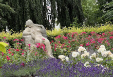 Schrevenpark im Sommer