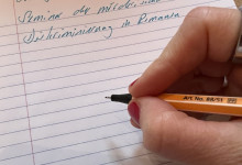 und den Nachmittag im Online-Seminar 