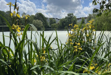 Im Park spazieren gehen