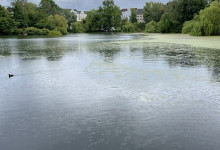 Schrevenparkrunde mit leichtem Regen