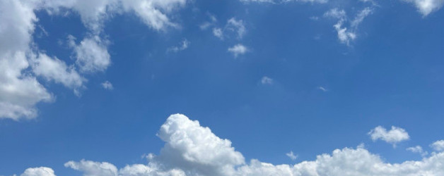 Meine Sommer-To-Want-Liste bis zum Herbstanfang 2024