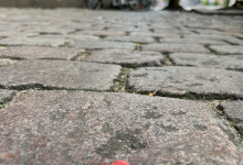 In Kiel liegen Herzen auf der Straße
