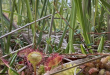 Monatsrückblick_Juli2024_Krimiautorin_SusannePohl_22