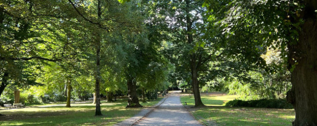 12 von 12 im August 2024 | Krimischreiben im Schrevenpark