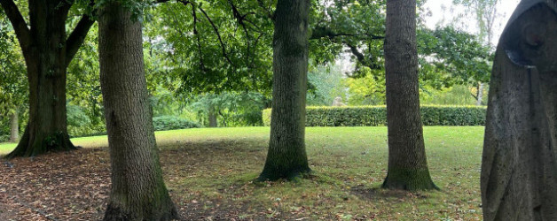 Zwischenfazit des Schrevenpark-Sommerkrimis: Schreibfreuden, Stillstand und neue Erkenntnisse