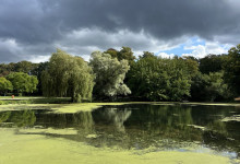Das Grün und die dunklen Wolken mag ich auch