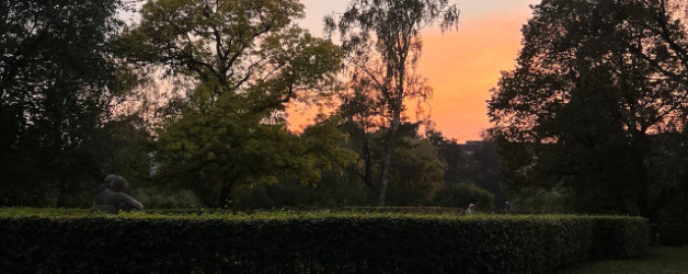 Herbst und mein Herbst aka Perimenopause