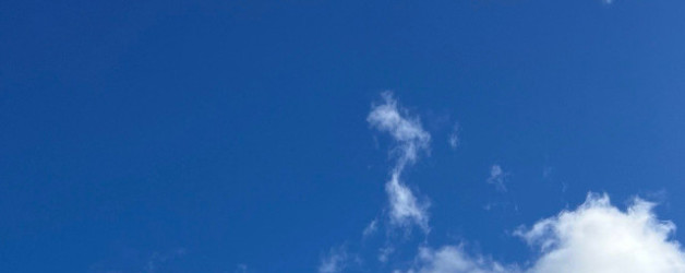 Accountability-Blog: in die Luft gucken