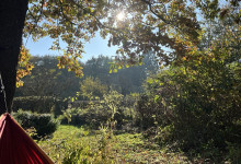 Noch ein Gartenblick