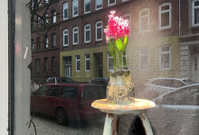 Frühlingsvorboten und Sauerstoff auf einer Runde um den Block, um …
